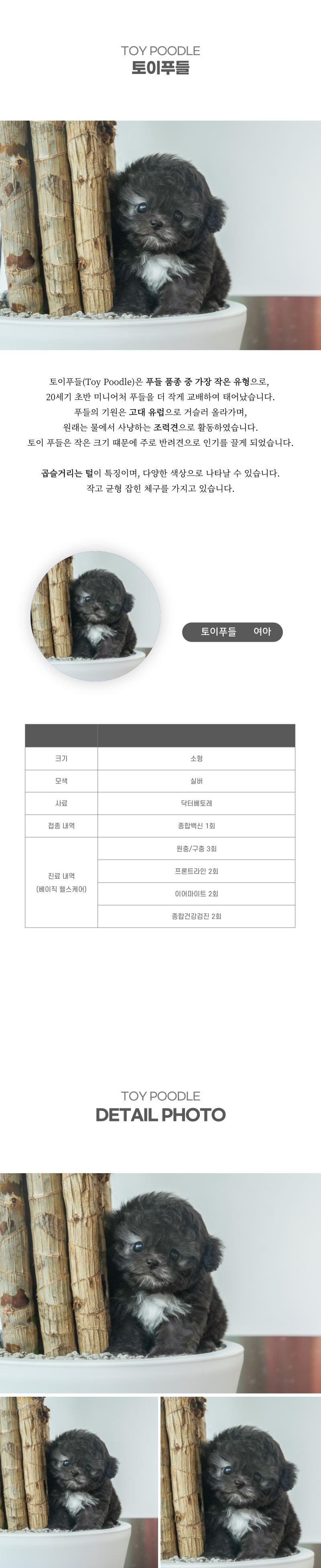 토이푸들_상세이미지_2